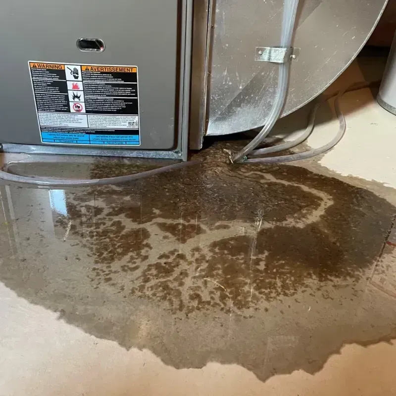 Appliance Leak Cleanup in Rockville, MD